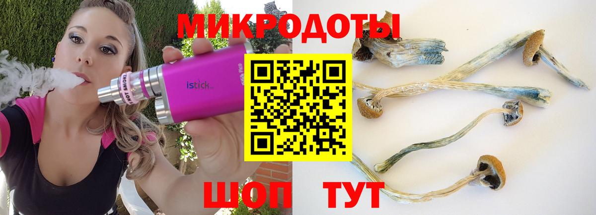 Щёлково  Галлюциногенные грибы Psilocybine cubensis  Вход с VPN 